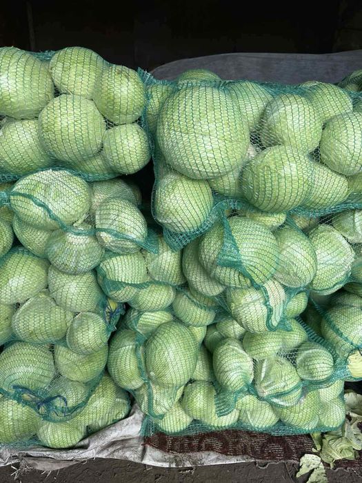 Продам картоплю моркву буряк червоний капуста