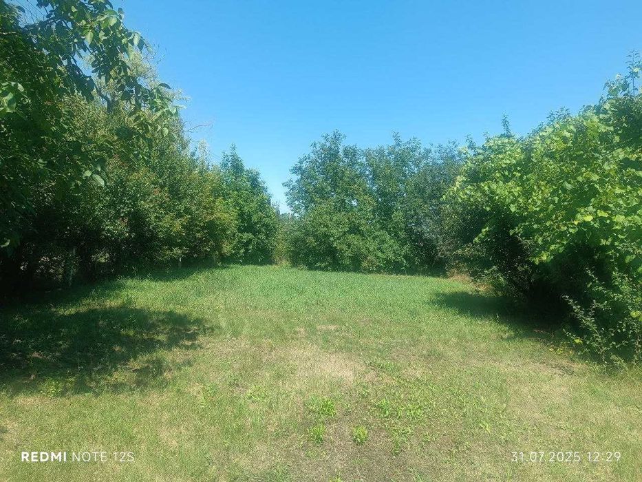 Продаж будинку в с. Гайок ( Тетянівка )