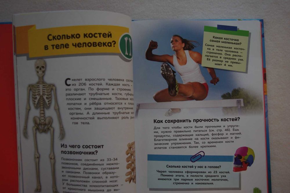 Путеводитель по телу человека. Вопросы и ответы