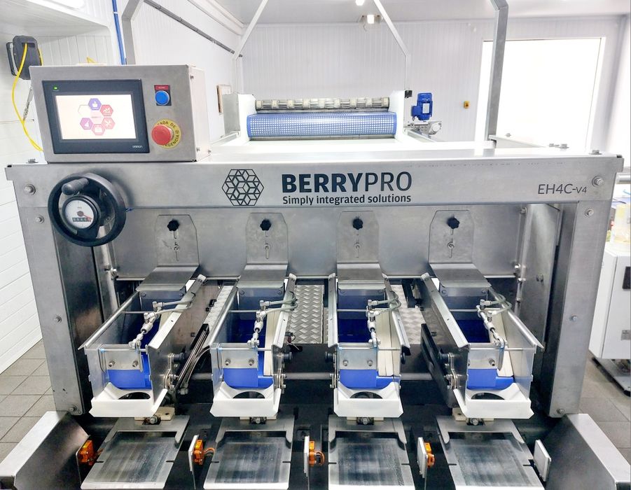 Linha embaladora de mirtilos compacta