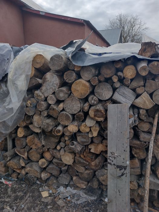 Drewno dąb, buk, grab, owocowe. Sezonowane