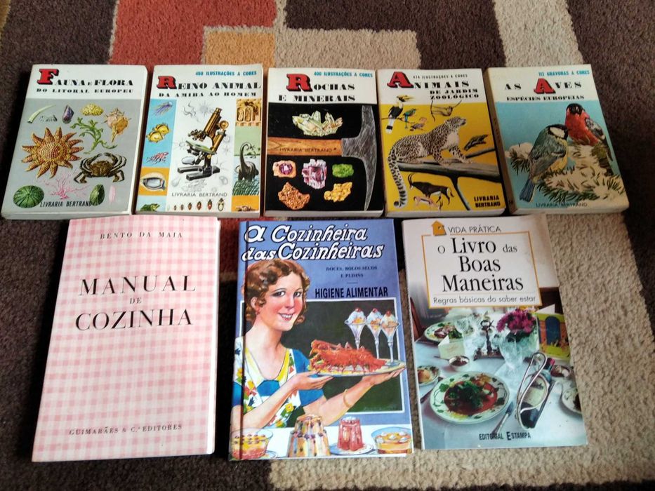 Lote de livros diversos