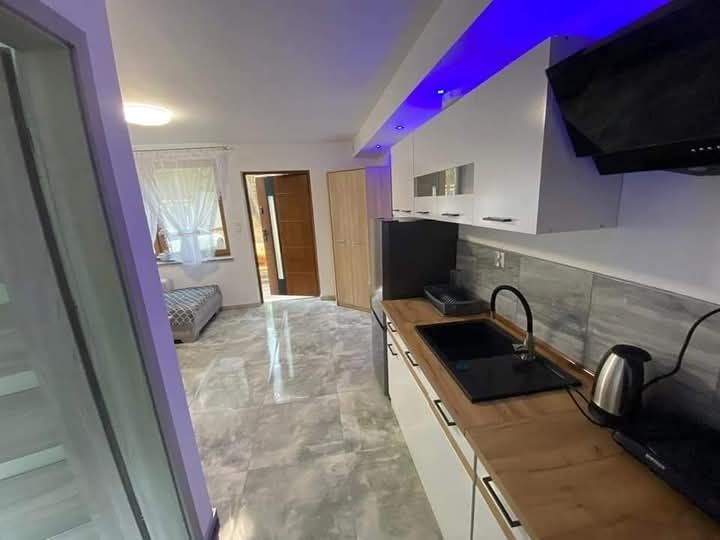 Domki letniskowe 4 osobowe  w lesie nad jeziorem Borek