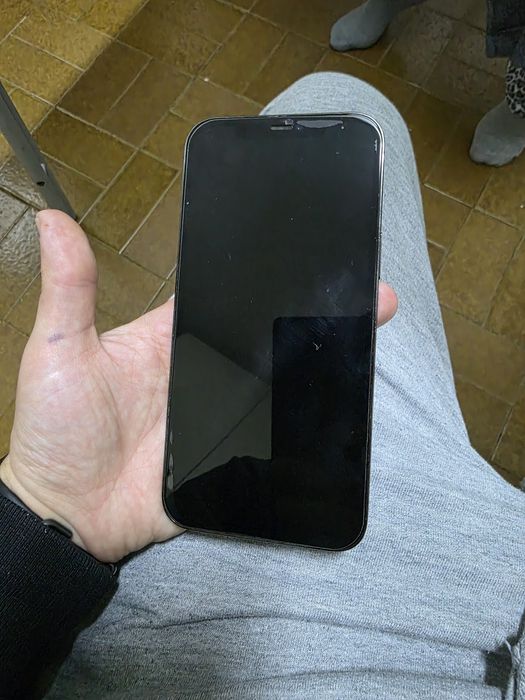 iPhone 12 Pro Max