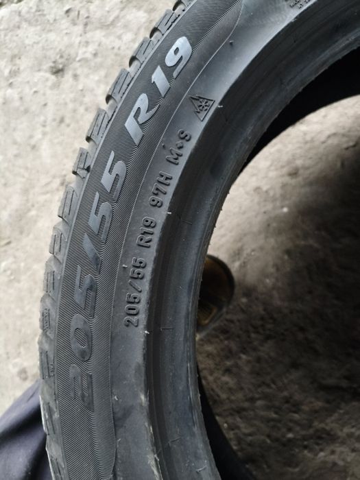 Шини зима 205/55/19