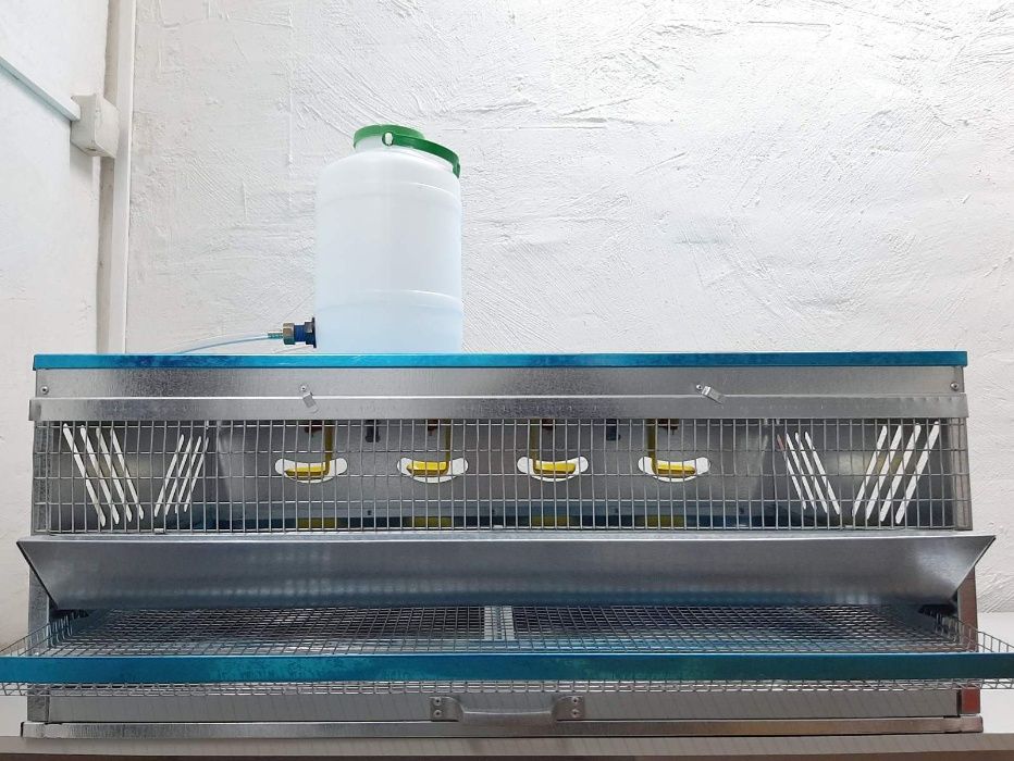 Клітки для перепілок