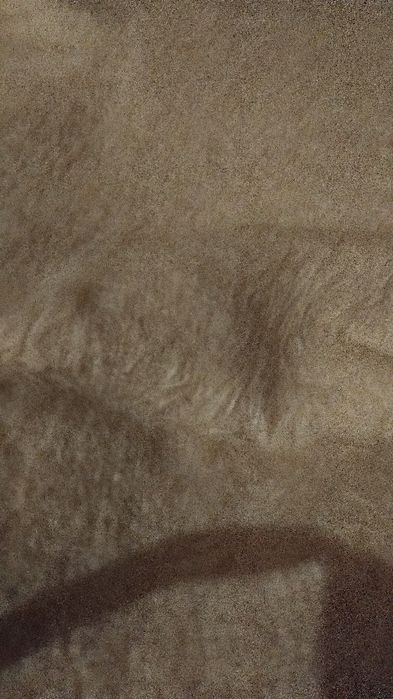 Cobertor da Serra. Lã de ovelha