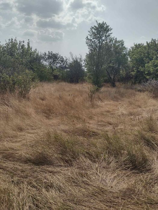 Продаю земельну ділянку в с. Костянтинівка