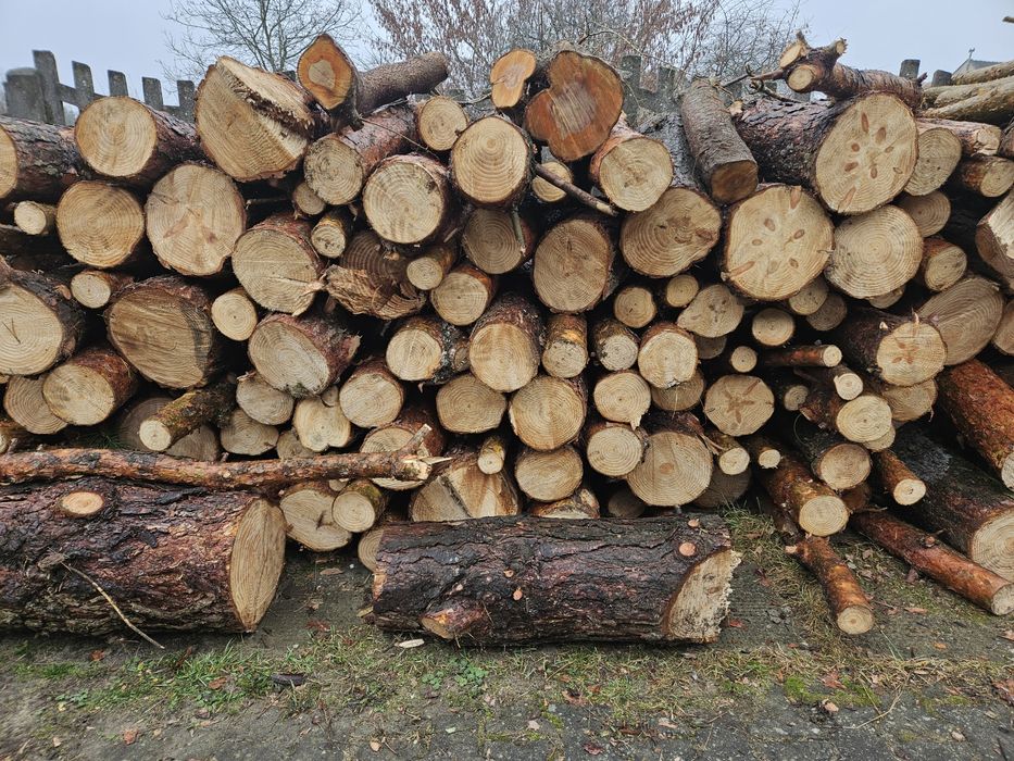 Drewno opałowe sosnowe