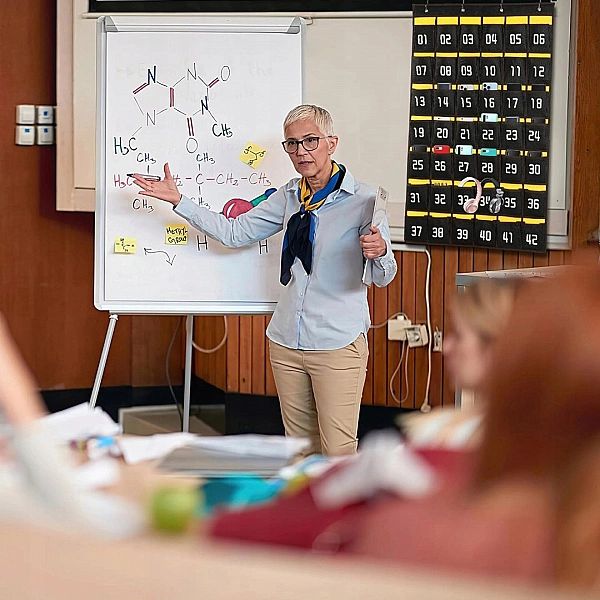 Organizer na telefony 42 kieszonki - wieszak na smartfony do szkoły bi