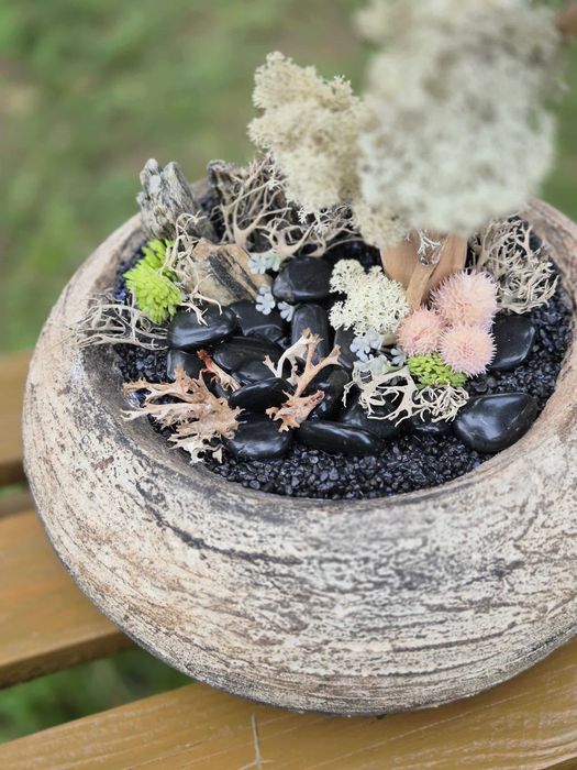 Drzewo XXL Bonsai Mech Chrobotek Dekoracja Długowieczne Dom Prezent