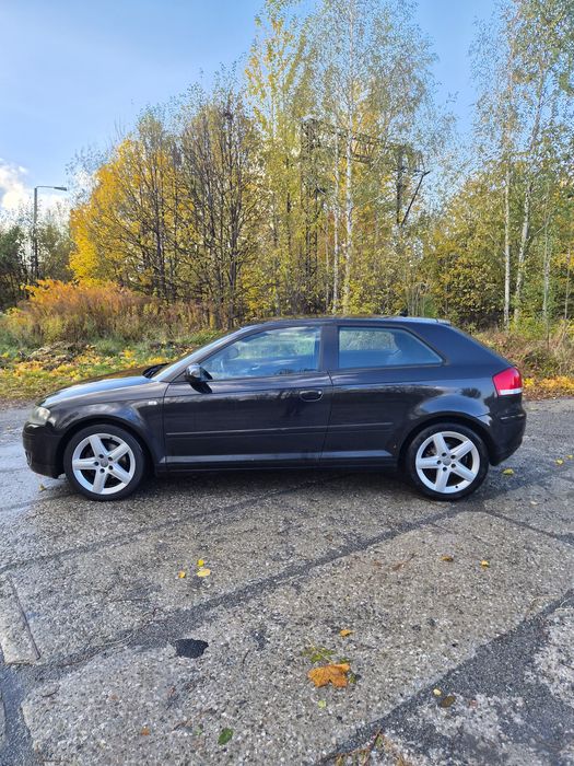 Audi A3 8P 1.9 TDI 2003