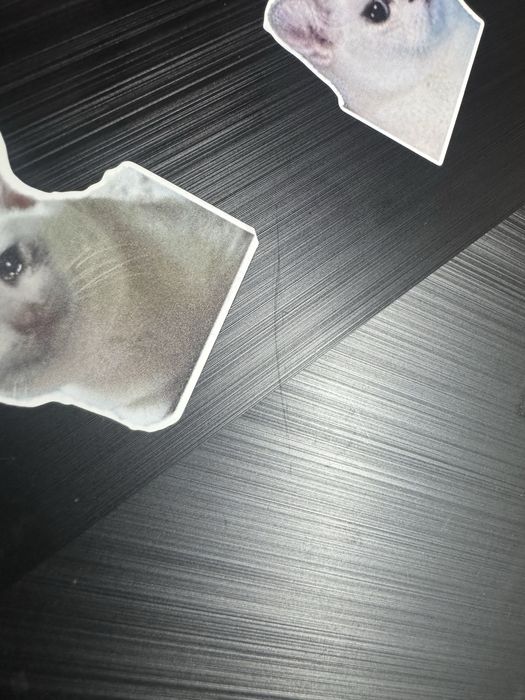 Ігровий ноутбук asus rog g15 512li