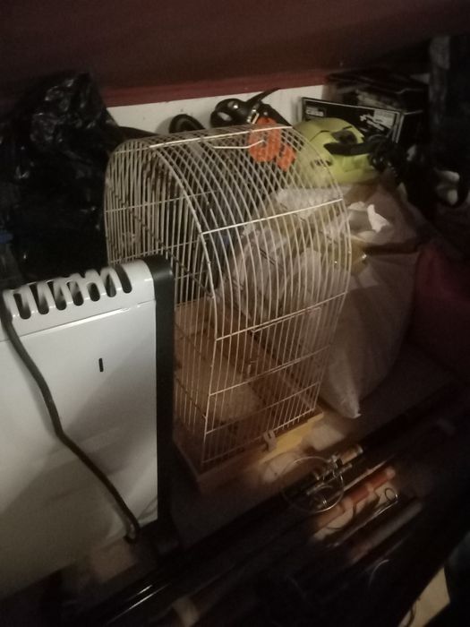 Acessorios Gatos + Gaiolas Aves