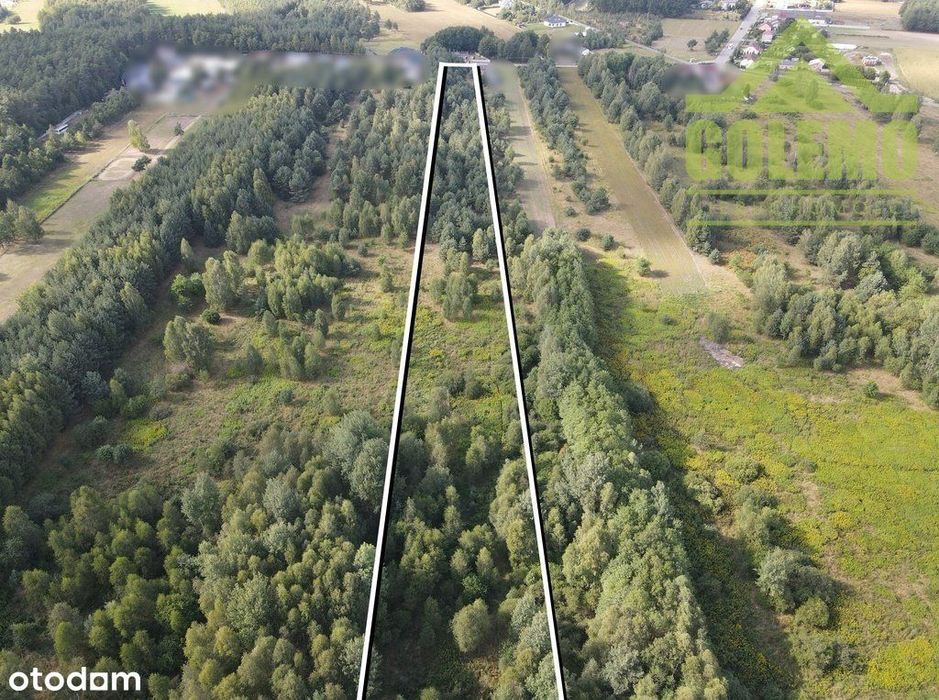 Działka Budowlana / 16460 m² / Aleksandria Druga - Widok 4