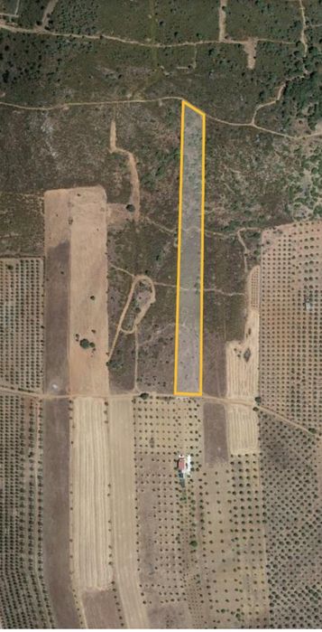 Terreno rústico com 1 Ha