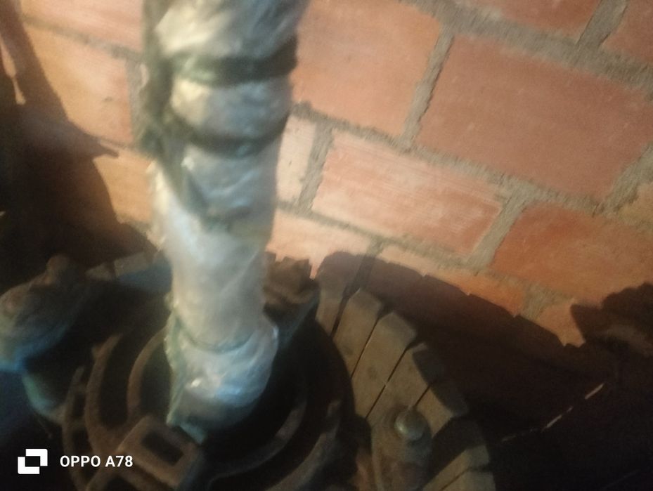 Pressa de esmagamento de  uvas para fazer vinho