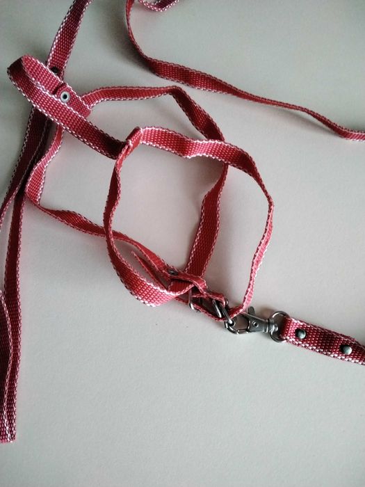 Лежанка  для кошечки собачки ,три угловие когтеточки в подарок