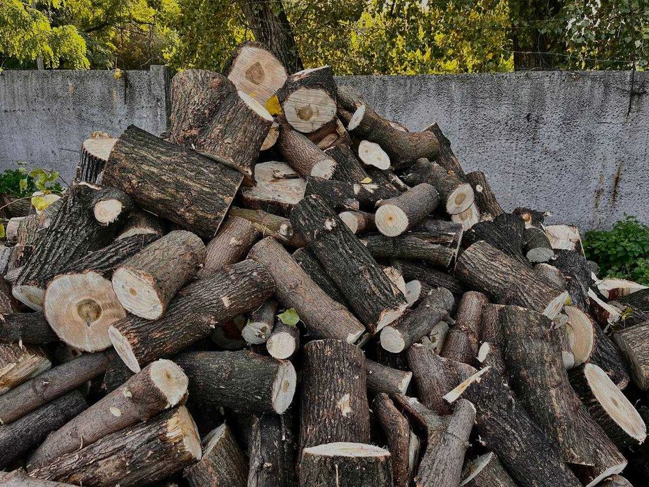 Дрова акация, ясень, клен, берест