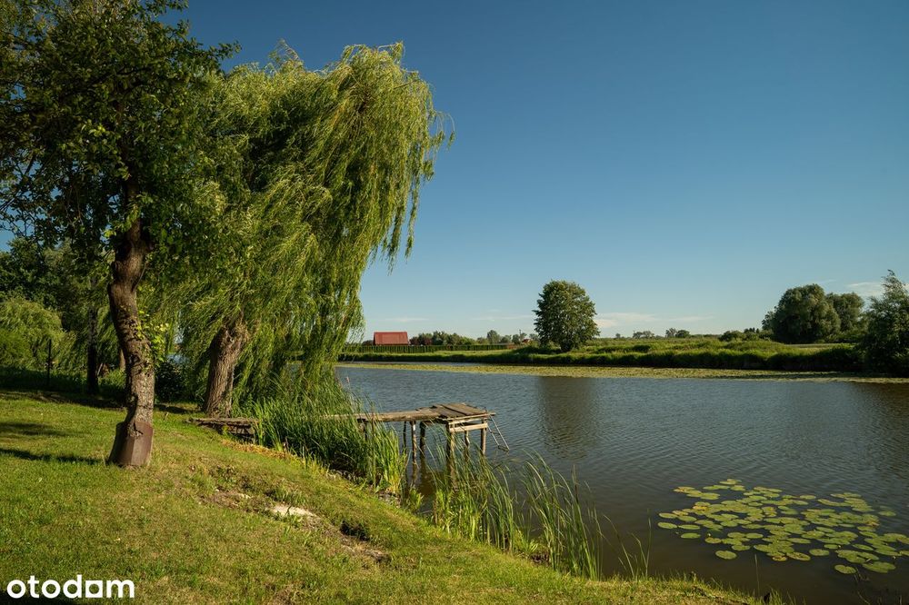 Dom z własną linią brzegową jeziora i pomostem | Dziecinów | 1493 m²