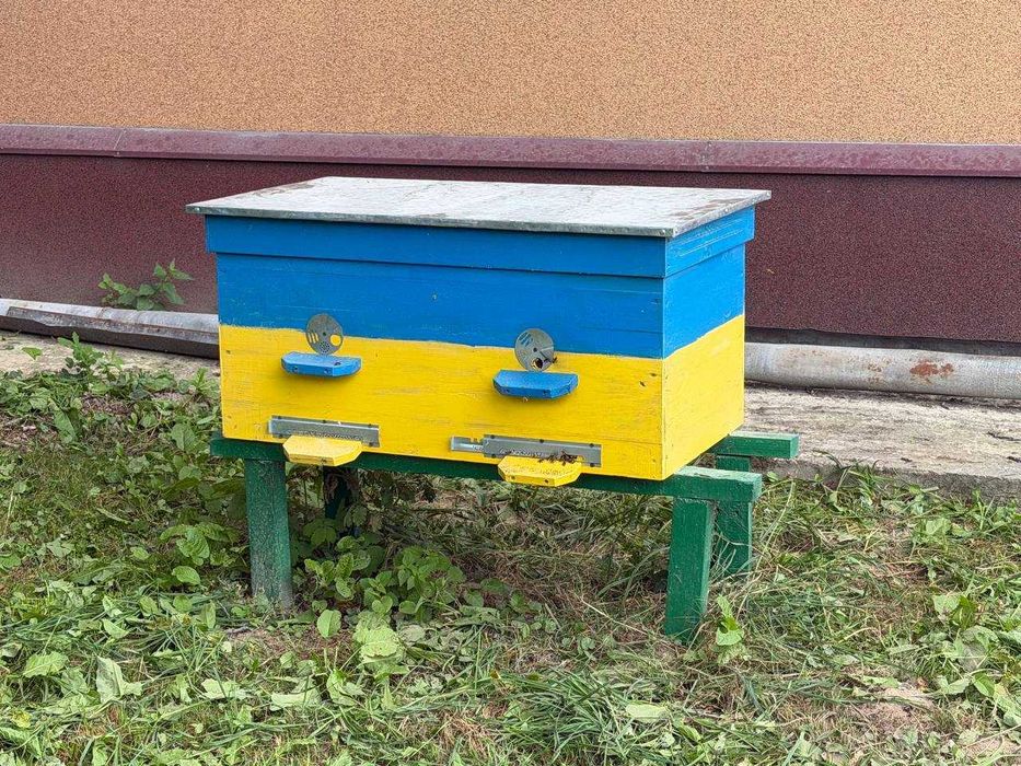 Продам вулики з бджолами Вулик Лежак «Дадан» 24 рамковий