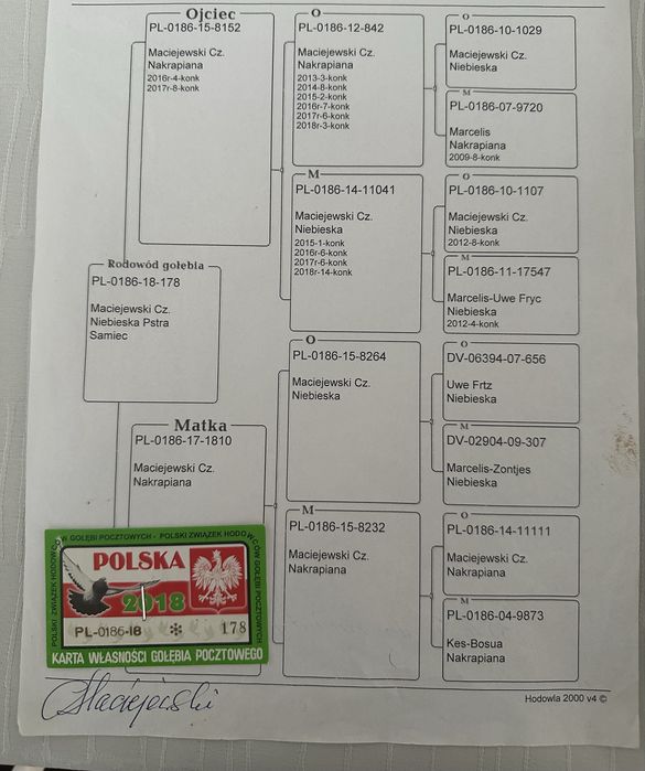 Gołebie pocztowe