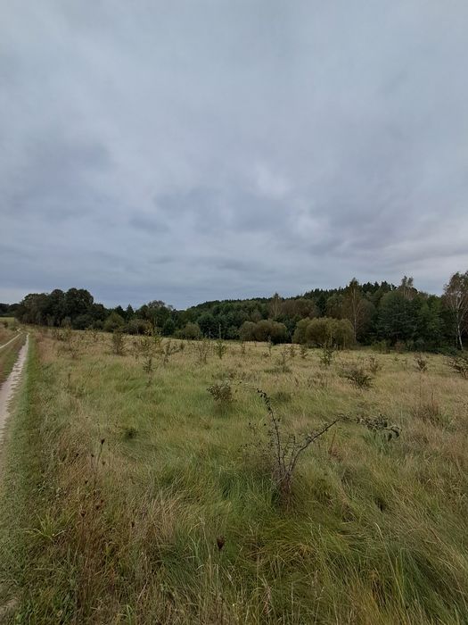 Продаж Земельної ділянки