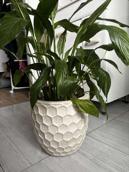 Duza ceramiczna donica