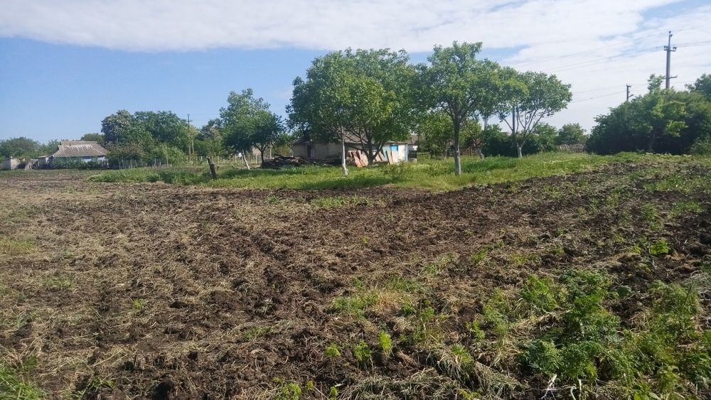 Продам земельну ділянку