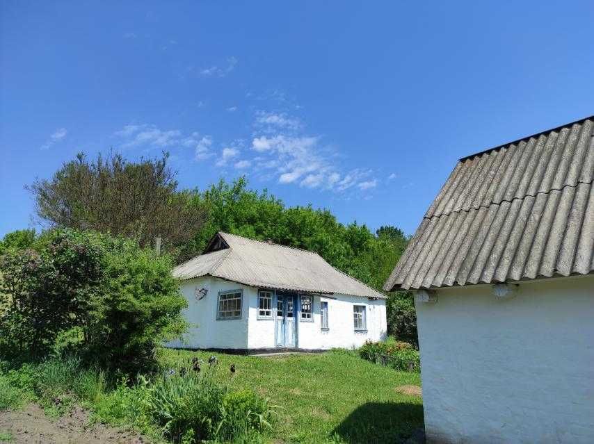 Продається будинок для спокійного життя — затишок, ліс, ставок