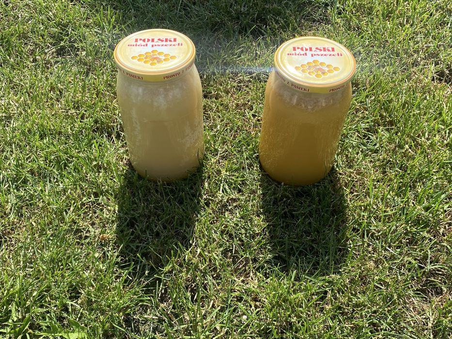 Naturalny miód z pasieki – gwarancja jakości