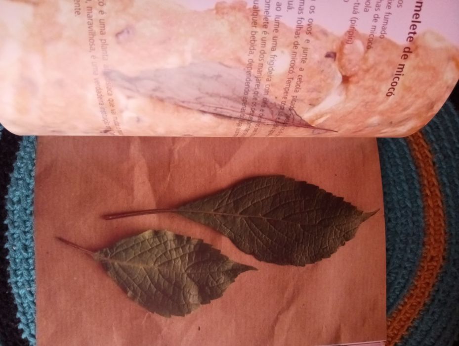 João Carlos Silva - Na roça com os tachos