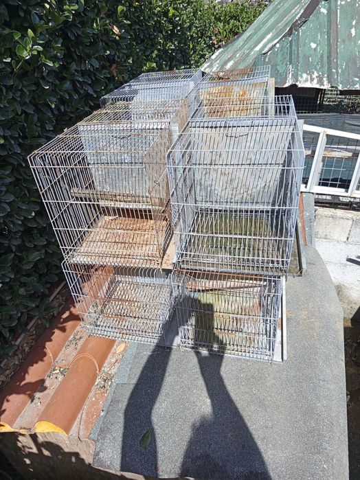 Oito Gaiolas Pássaros medidas pode observar nas fotos