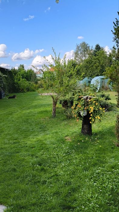 Dom na sprzedaż Chabielice Kolonia