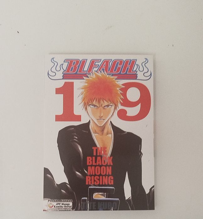 Manga Bleach Tom 19