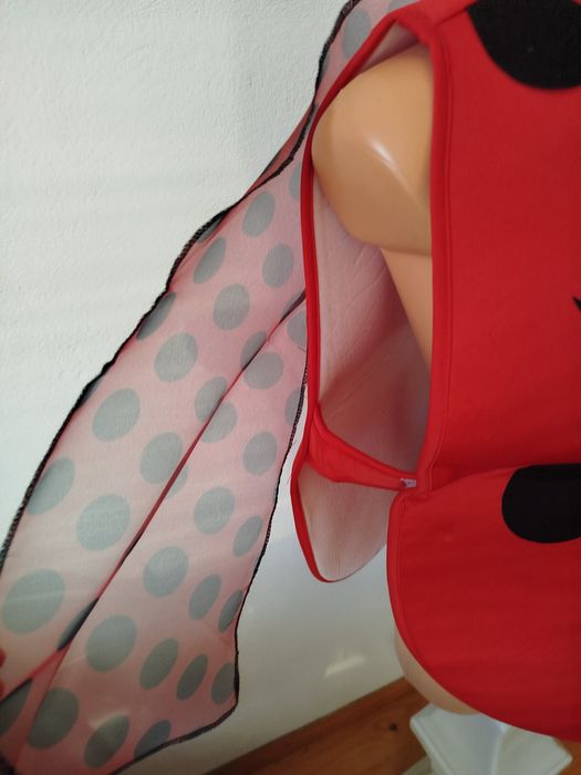 Przebranie strój biedronki .