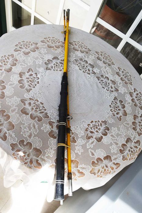 Cana de Pesca Amarela 3mt