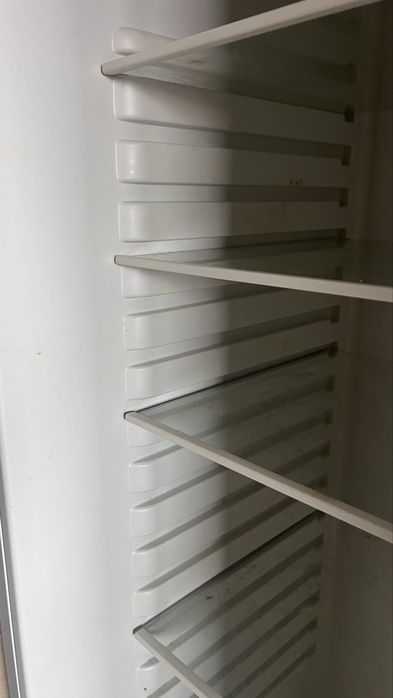 Frigorifico Becken