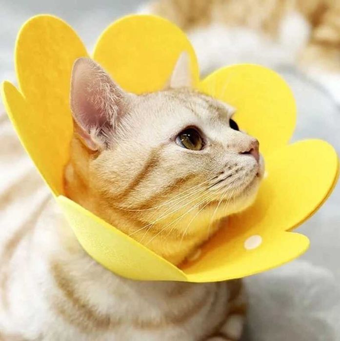 Комір (воротник) "для загоєння ран" для собак та кішок Yellow Flower Size S