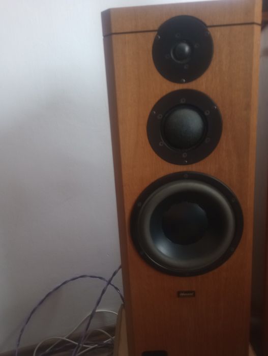 Dynaudio Xennon 3.Contour. Oryginal Dynaudio.