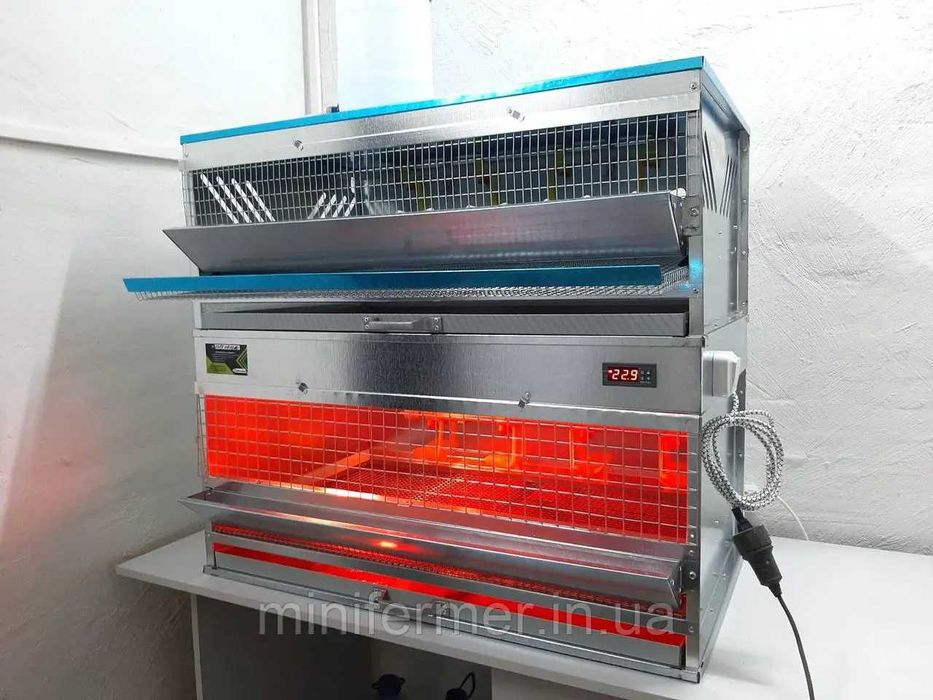 Брудер та клітка для перепілок MiniFermer