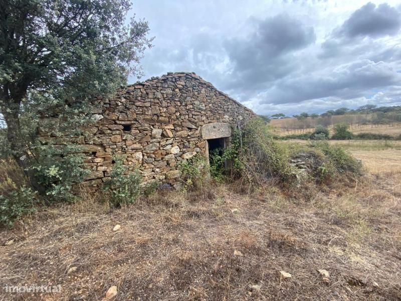 Quinta — Aldeia Do Bispo, Águas E Aldeia De João Pires, Castelo Branco