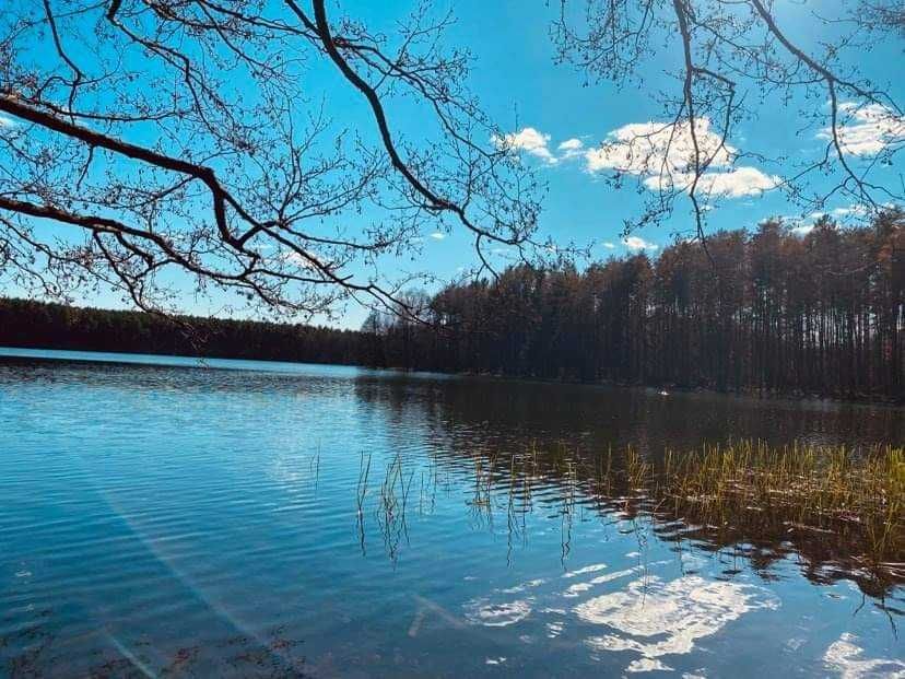 Ferie, wakacje, weekend,na Kaszubach w "Stokrotkowie",dom na wyłączn