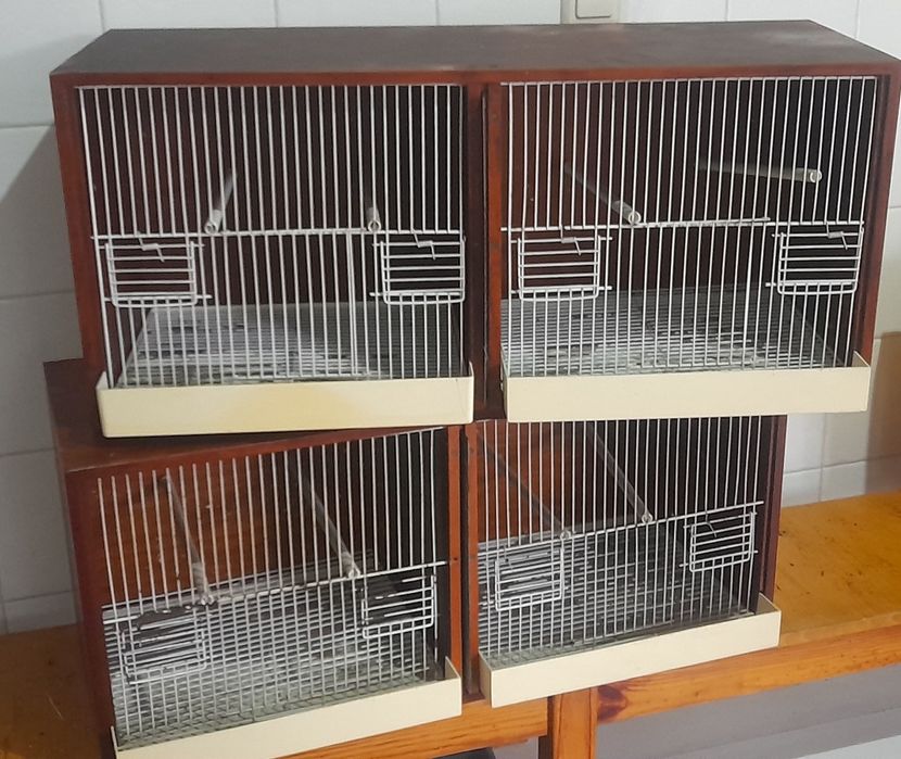 Viveiros para criação de aves