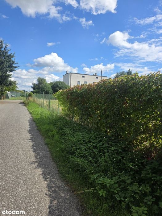 Działka budowlana w malowniczej okolicy/cisza i spokój/droga asfaltowa - Widok 5