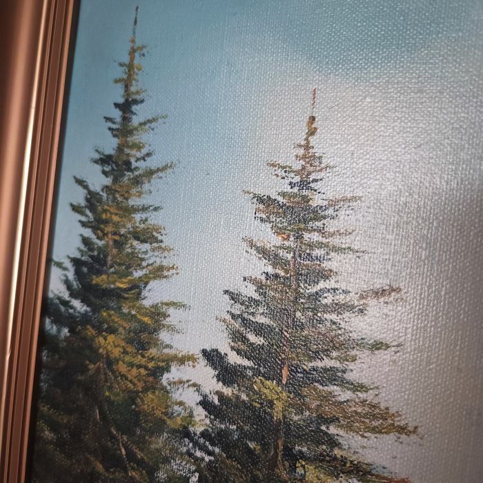 Obraz na płótnie góry jezioro złota rama