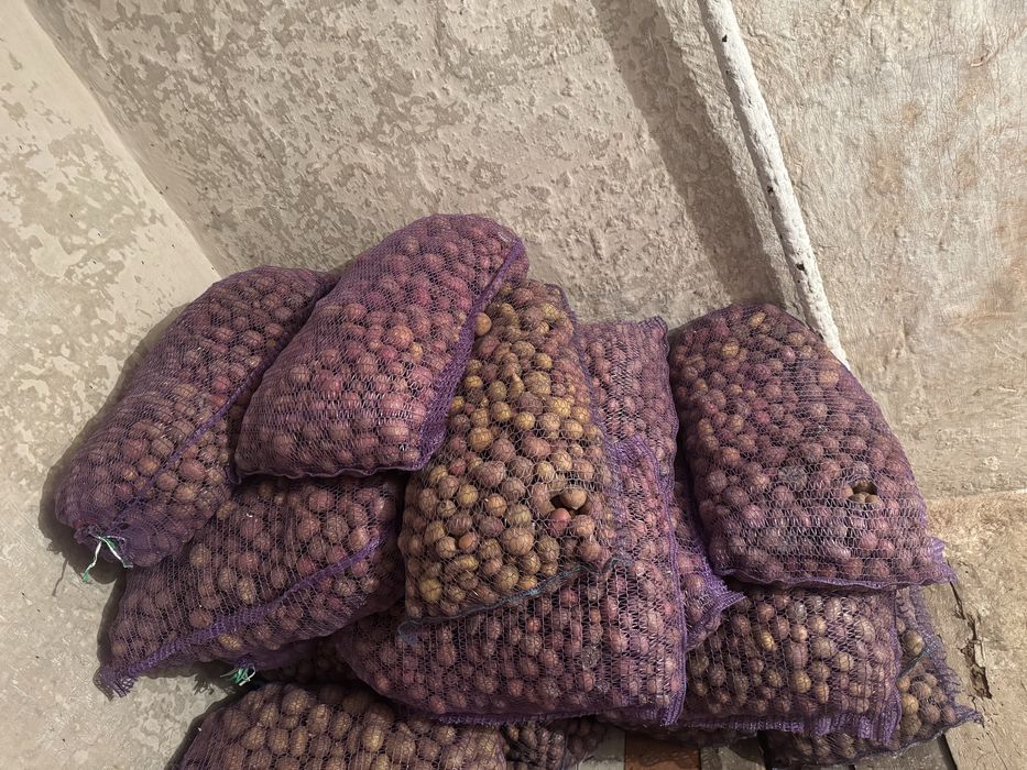 Продам дрібну картошку