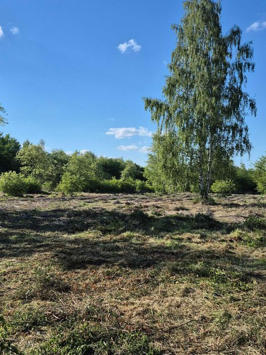 PYSKOWICE Dzierżno Działki budowlane - Widok 2