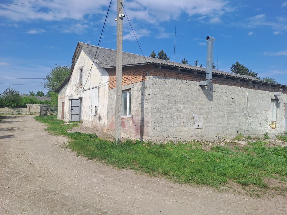 Продаж комерційного приміщення, с. Грабовець, 450 м²