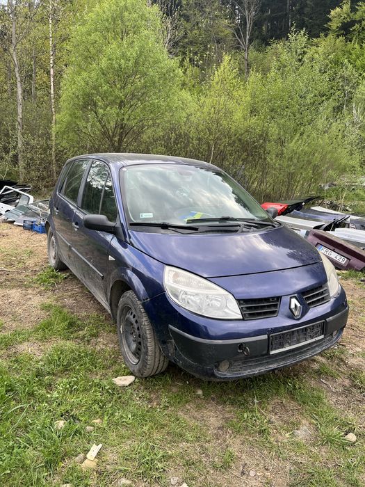 Розборка Рено Сценік 2/Renault Scenic 2 1.9 DCI (F9Q) разборка